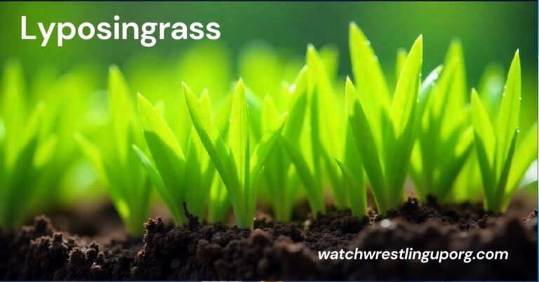 Lyposingrass